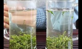 绿茶泡茶水温多少度合适